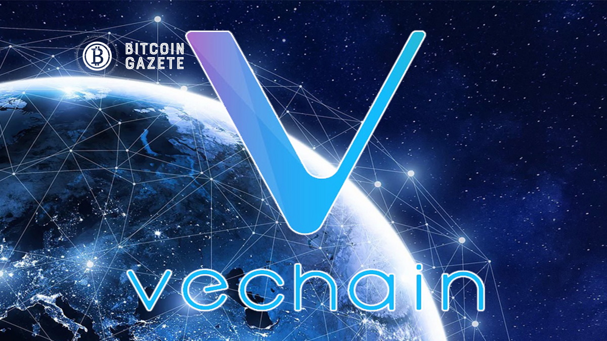 VeChain-Fiyat-Analizi-bitcoingazete-com