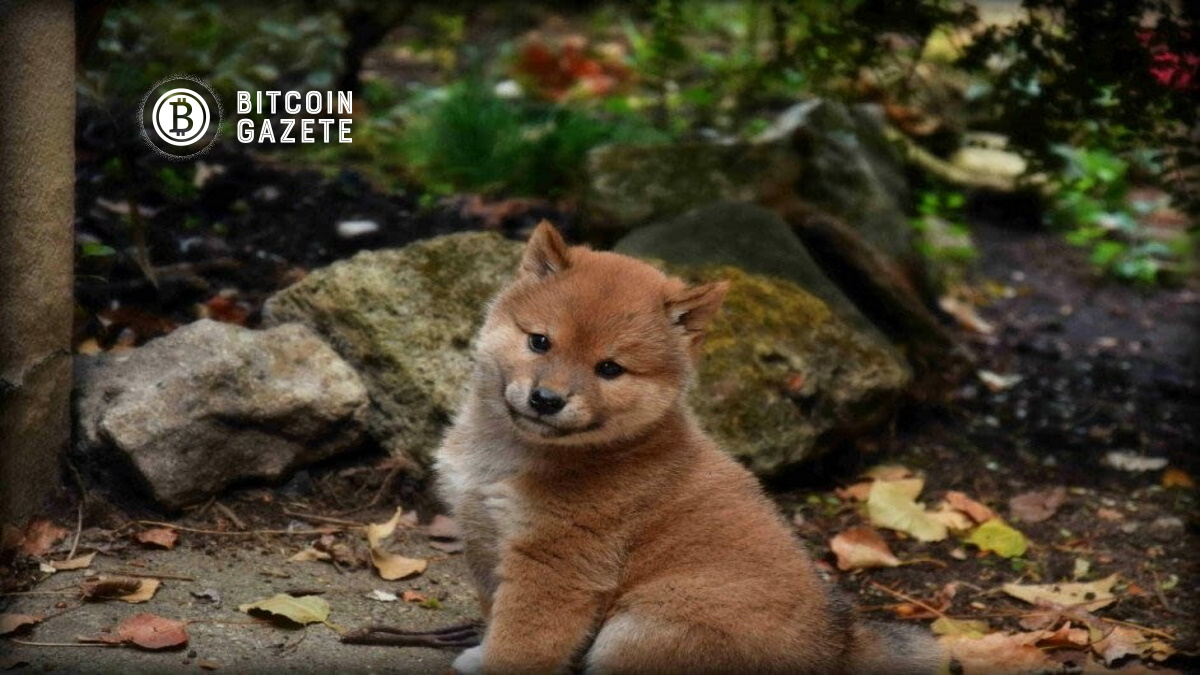 Floki-Inu-FLOKI-Pazarlama-Kampanyalarının-Ortasında